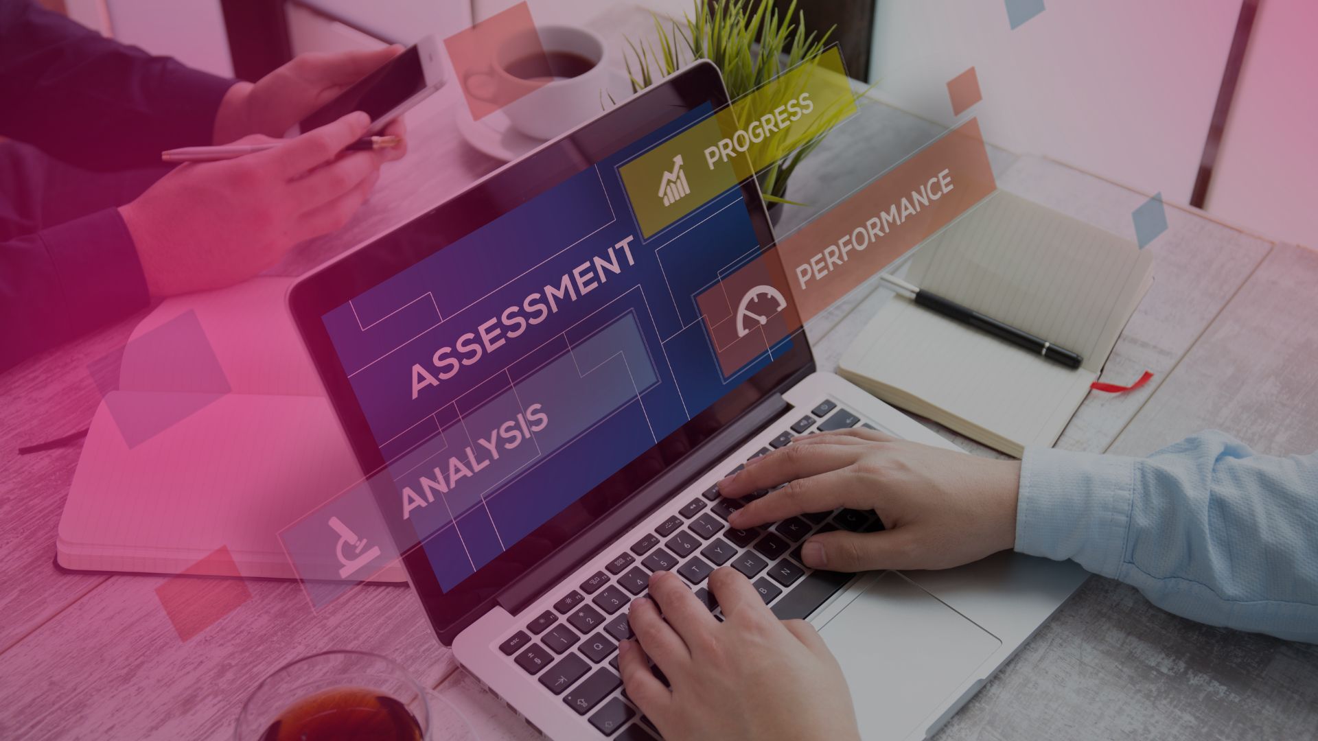 evaluaciones de competencia, potencial y PDA